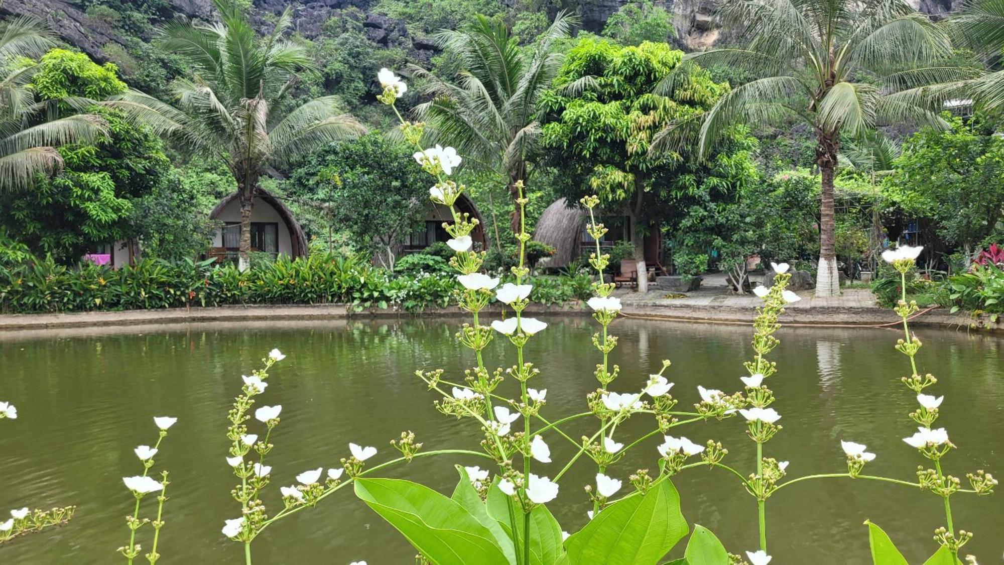 Fairy Mountain Retreat Hotel Ninh Binh Exterior photo